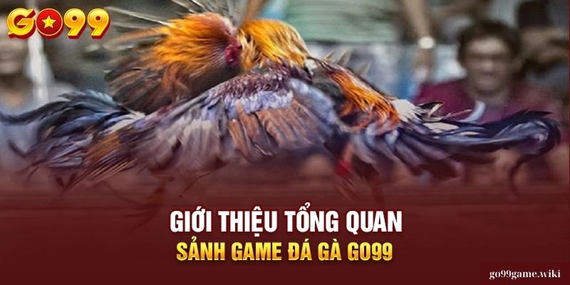 Kinh nghiệm đá gà từ cao thủ Go99   